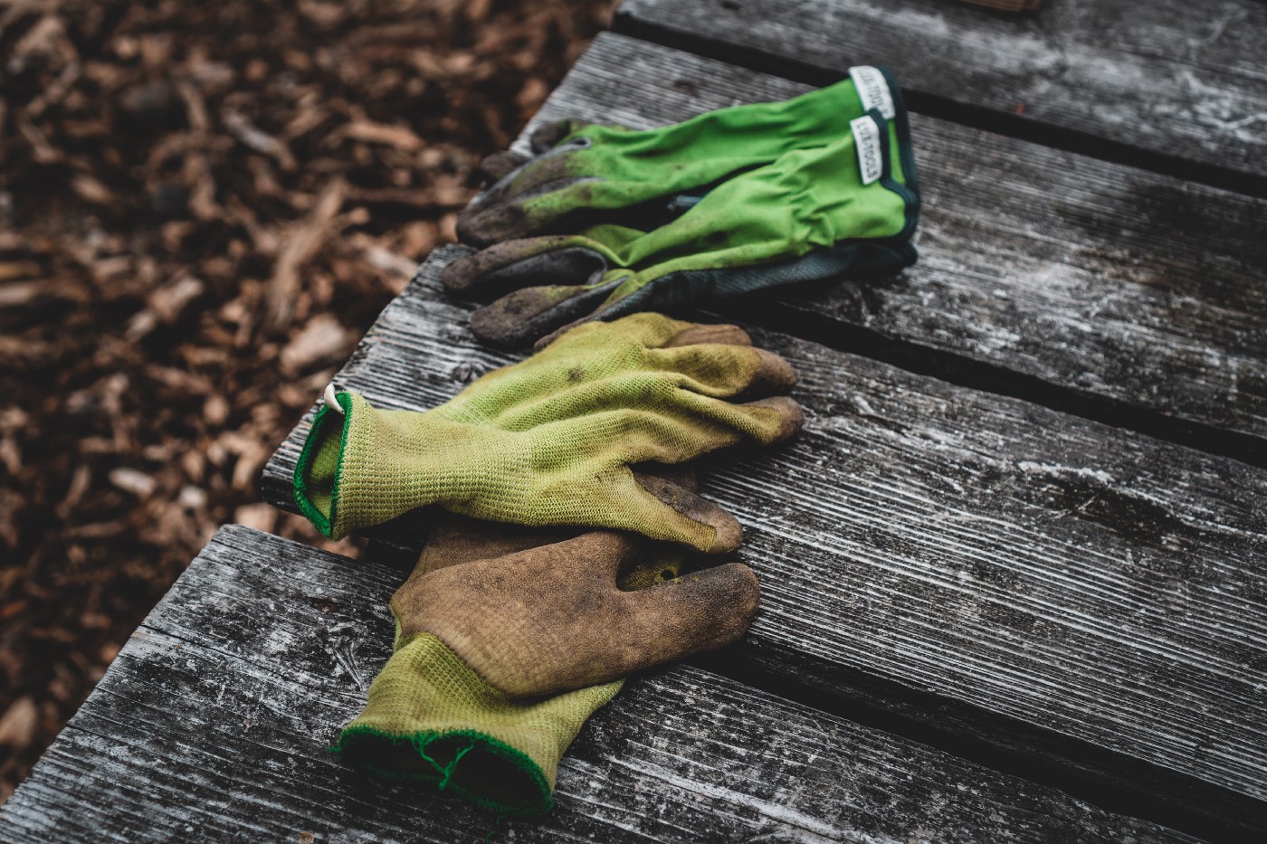 Two pairs of dirty gardening gloves on a wooden surface.