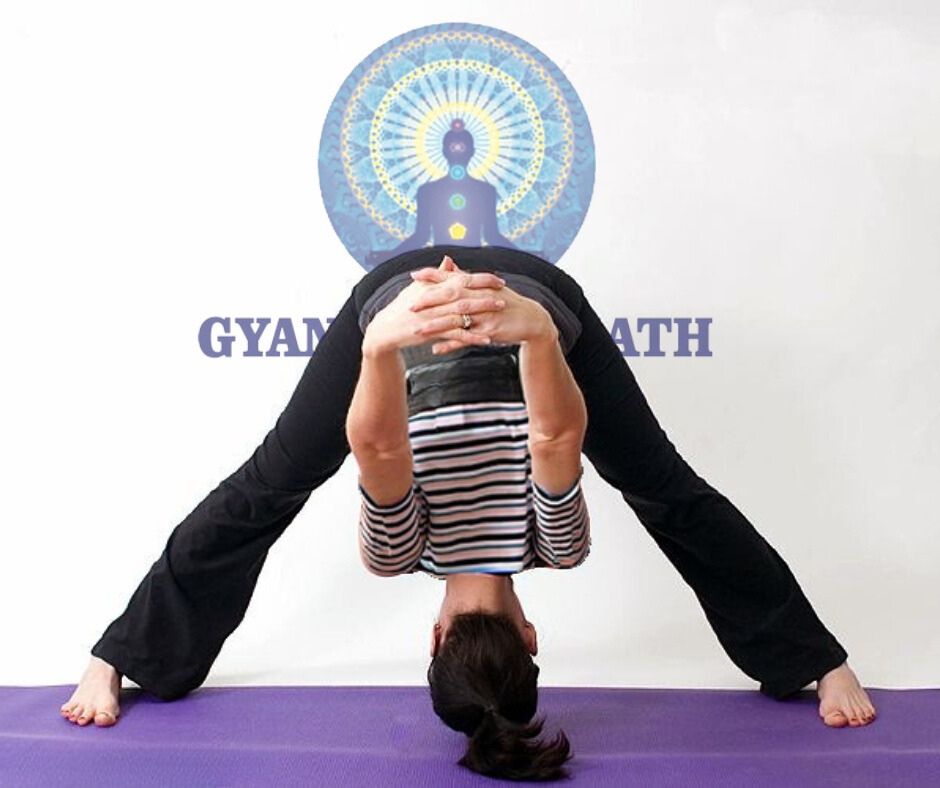 "Grasping the Influence of Your Yoga Instructor's Education on Your Practice"