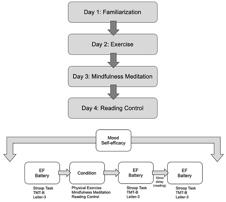 Investigating the Core Nature of Existence via Mindfulness Techniques