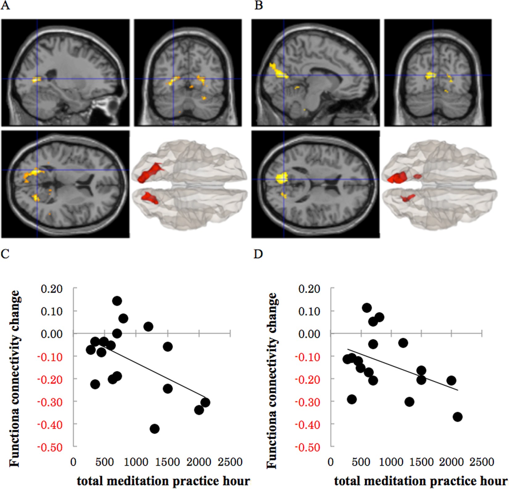 Neuroscience Research on the Lasting Impact of Mindfulness Techniques