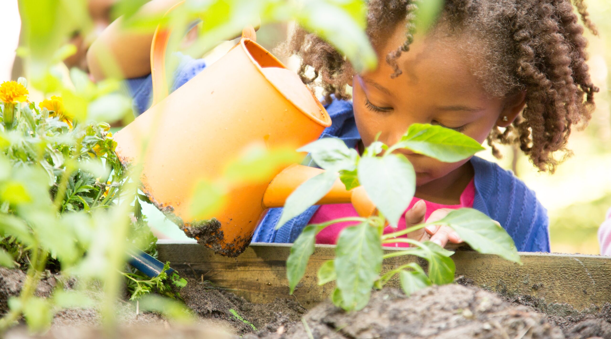 The Art and Advantages of Mindful Gardening Methods