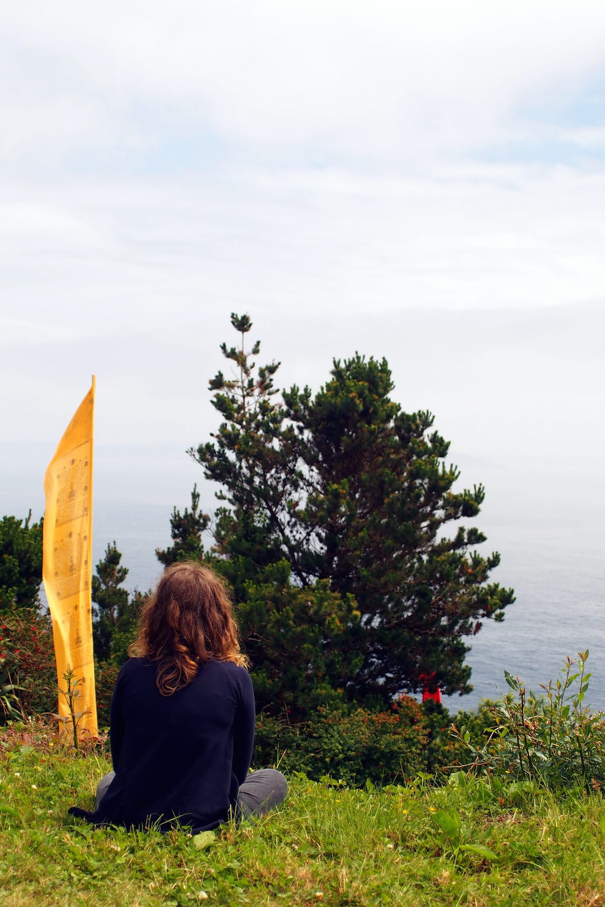 The Four Boundless Qualities of the Mind in Buddhist Practice