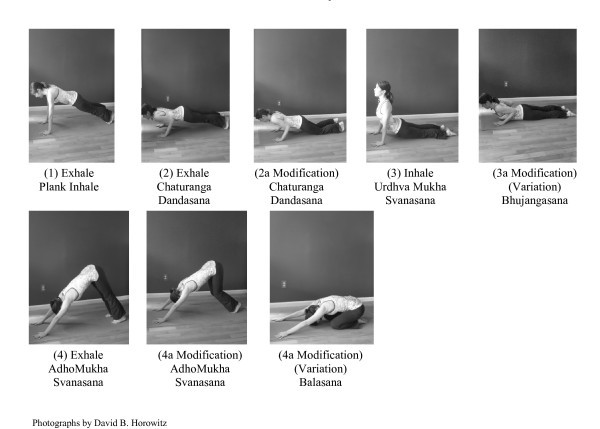 Contrasting Breathwork Methods and Pranayama Approaches: Investigating Distinctions and Commonalities