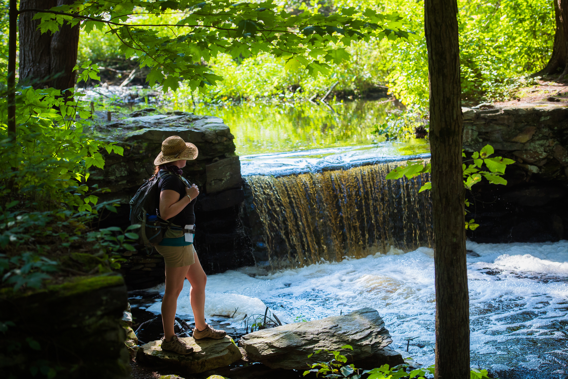 Investigating the Soothing Benefits of Walking Meditations