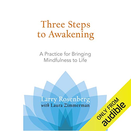 A Handbook for Meditation and Mindfulness: Incremental Steps for Your Path