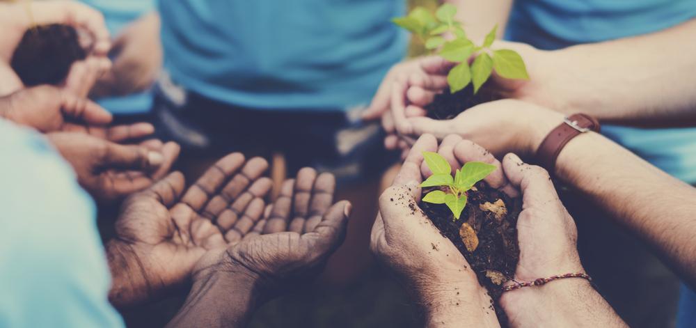 Cultivating Kindness in a Tough Environment