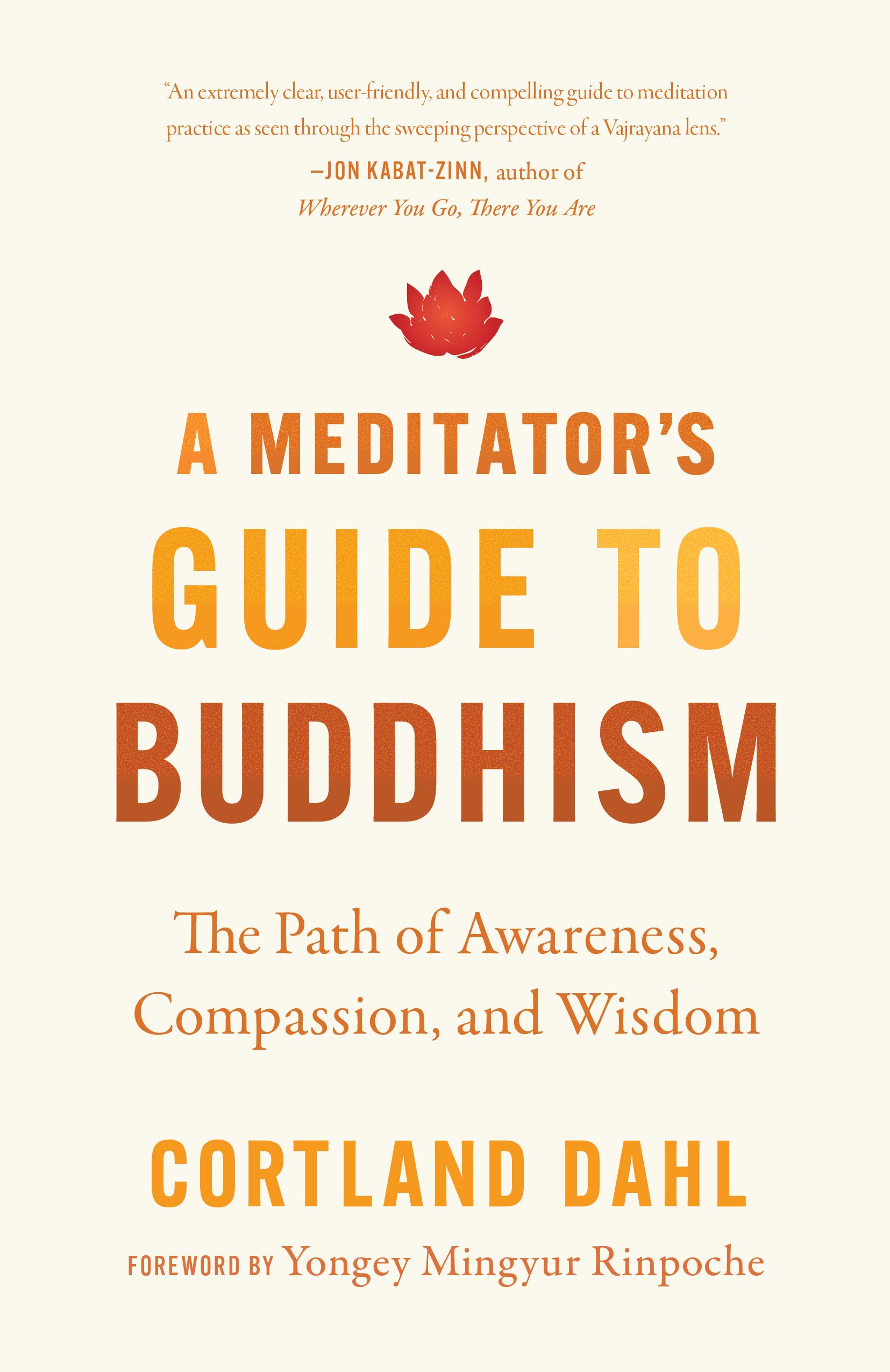 Fundamental Buddhist Principles That Could Have Altered My Comprehension from the Beginning