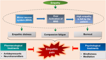 Investigating the Relationship Between Mindfulness and Double Empathy
