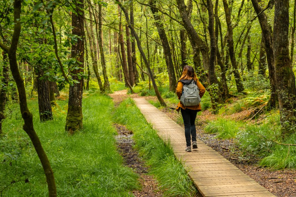The Soothing Advantages of Walking Meditations