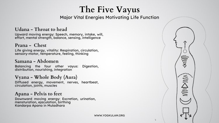 "Methods to Channel Positive Energy via 14 Yogic Techniques"